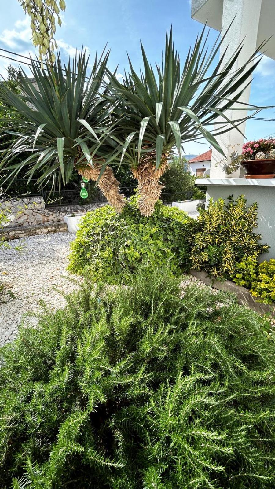 Appartement Grgic *